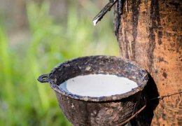 Kauçuk hızla tükeniyor