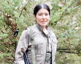 Sembola têkoşîn û azadiyê: Doga Şîn