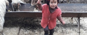 5 gündür bulunamıyor