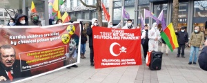 Ciwanan Holanda protesto kir