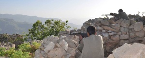 Dört bölgede 24 asker öldürüldü