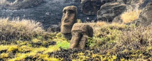 Moai şewitîn