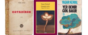 Yaşar Kemal ve Dağın Öte Yüzü