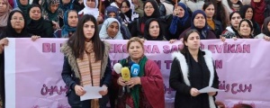 Cansize, Dogane û Şaylemeze Rojava de ameyê yadkerdene