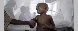 Kolera endişe verici boyutta