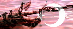 Organize suçlu cenneti: Türkiye