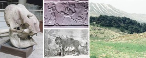 Bir zamanlar Mezopotamya faunası
