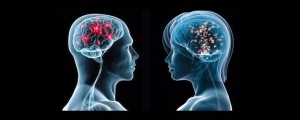 Kadın ve erkek beyni arasındaki farklılıklar