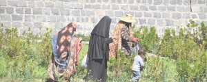 Li Yemenê jiyan li jinan zortir dibe