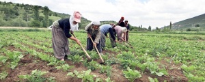 Kadınlar için mayınlı tarla