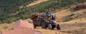 Ekoloji örgütleri yine sessiz