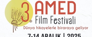 Di festîvala Amedê de 84 film hene