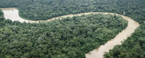 Amazon, hipertropikal iklime sürükleniyor