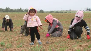 Kadınlara emanet