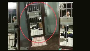 ‘Seni öldürsem en fazla 3-5 ay alırım’