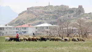 Zozanlara çıkmak için gün sayıyor 
