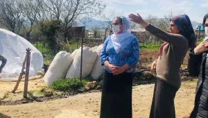 Lice'de çocuklara çıplak arama işkencesi