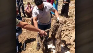 Tek istedikleri bir mezar