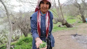 Geleneğin son temsilcileri