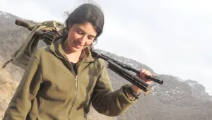 Havuz medyası ve bir kadın gerillanın gerçeği
