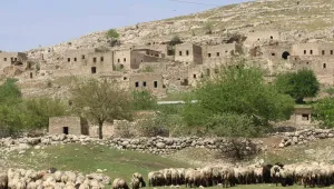 Kiwêx, bin 200 yıllık Êzidî köyü