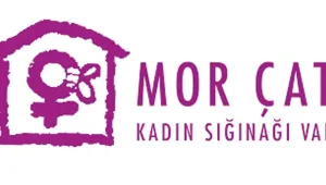 ‘Kadına şiddette sürekliliği görmeliyiz’