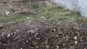 Siirt’te 200 cenaze tutuluyor