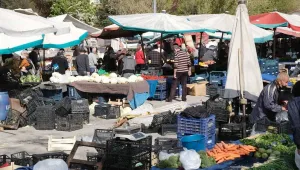 Bizlere taş kemirmek hak görüldü 