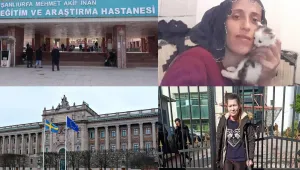 Kadın haber turu