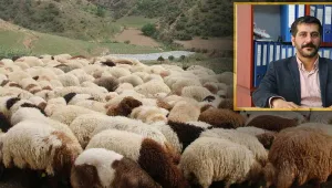 Yayla yasağı başlıyor