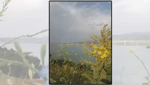 Pazarcık’a düşen gökkuşağından 1 yıl 3 ay hapis!
