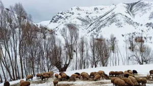 Kürdistan dağlarına vefa borcu