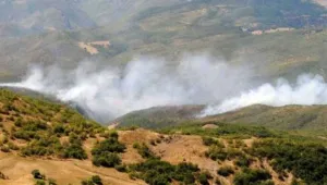 Hozat’ta orman yakıldı