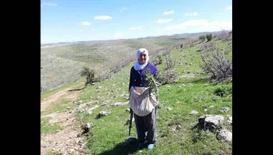 72 yaşındaki kadın gözaltında