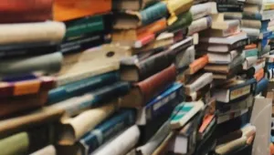 Bir haysiyet sorunu: Edebiyatta tek dillilik