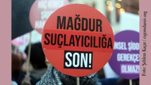 Feminist avukatlar ‘eril dil’e el atıyor