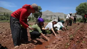 HDP’li kadınlar Semsûr'da