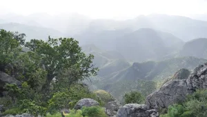 Savaş bölgesine o güçler niye yollandı?