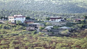 Mezraları, ziyaretleri, sarnıçları ve fıstık bahçeleriyle: RÎVON