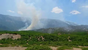 Dicle’deki yangına müdahale edilmiyor
