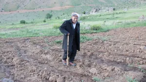 Kato’da 30 yıl sonra ekim