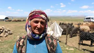 Kış hazırlığı yazdan başlıyor