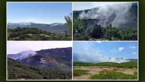 Dicle’deki yangın Elazığ sınırına ulaştı