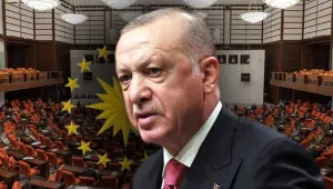 Türk tipsizliği 4. yılında