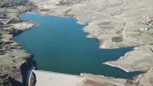 Kacarlar yaşam alanı bırakmadı 