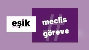 EŞİK: 22 toplantıda kadının adı geçmedi 