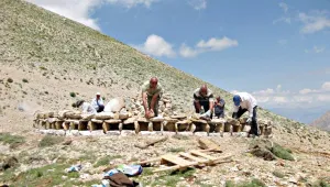 Zini Gediği’nde ne oldu?
