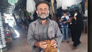 Adıyaman’da tütüncülere gözaltı