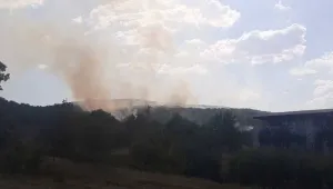 Lice’de yangın ilerliyor