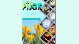 Bir ilk: Şêxbizinîlerin Pîjok'u 